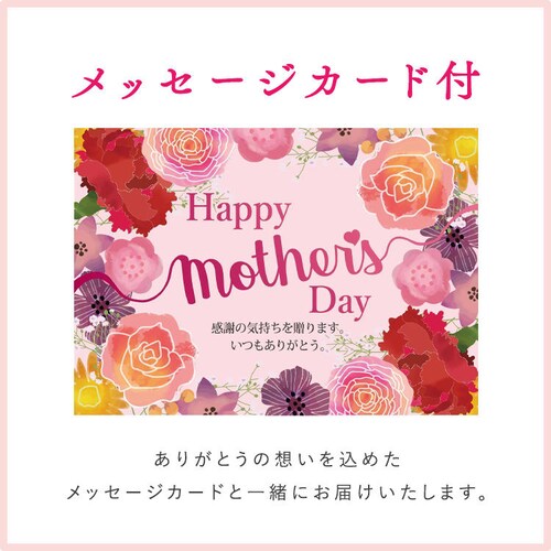 ��̓� 2026 �X�C�[�c ���َq �M�t�g ���C�~��� �ǂ�Ă� ���і� �a�َq �o�[���N�[�w�� �h�[�i�c �y���͂���5/6(��)�`5/9(�y)�z�y�����w��s�z�y������s�z_5