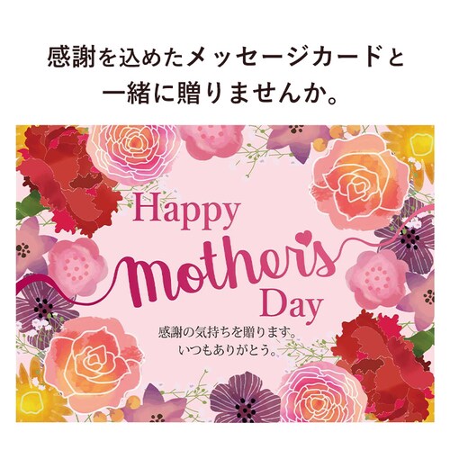 母の日 2026 スイーツ お菓子 ギフト フルーツタルト ケーキ 7種のフルーツ 【お届けは5/6(水)〜5/9(土)】【日時指定不可】【代引き不可】_14