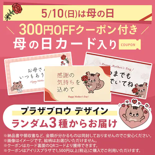 母の日 2026 スイーツ お菓子 ギフト ブラウニー ナッツ ドライフルーツ ピスタチオ 【お届けは5/6(水)〜5/9(土)】【日時指定不可】【代引き不可】_2