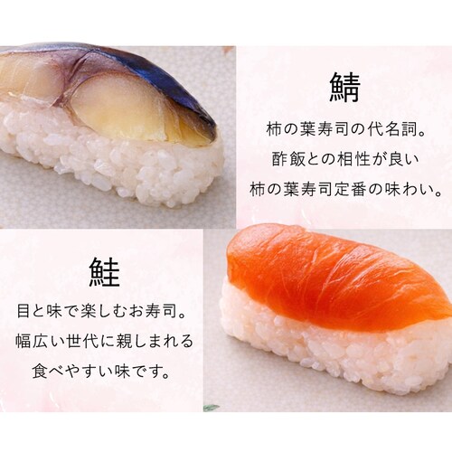 �y2026�N ��̓��z�ޗǂ݂悵�� �`�̗t���i�Z�ʁy���͂���5/6�i���j�`5/9�i�y�j�z_6