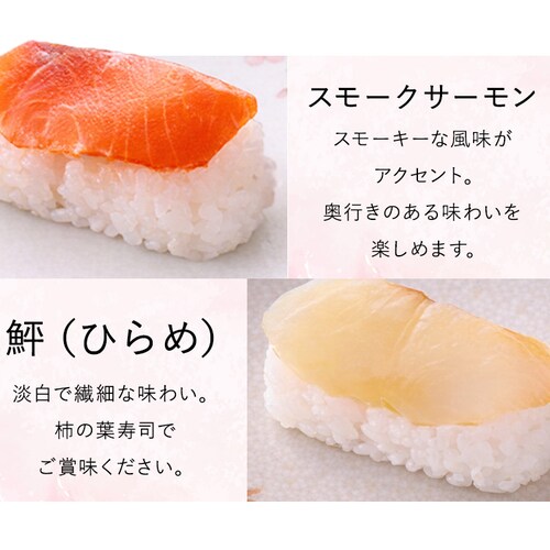 �y2026�N ��̓��z�ޗǂ݂悵�� �`�̗t���i�Z�ʁy���͂���5/6�i���j�`5/9�i�y�j�z_8