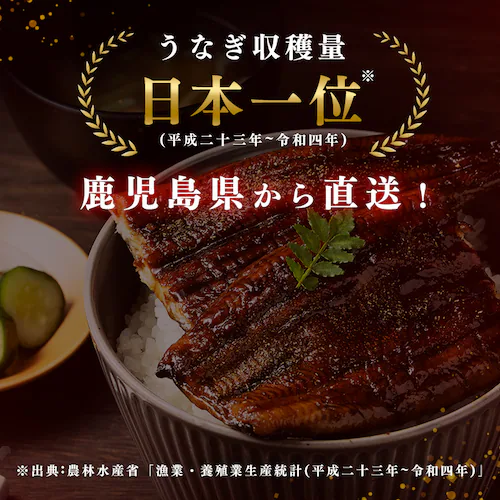 【2026年 母の日】鹿児島県大隅産うなぎ蒲焼2尾320g(160g×2尾) たれ・山椒付【お届けは5/6(水)〜5/9(土)】_4