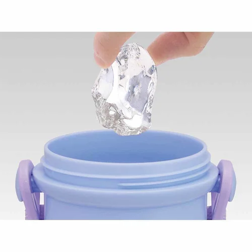 スケーター キャラクター直飲みボトル 480ml PSB5SAN ギャビーのドールハウス_13