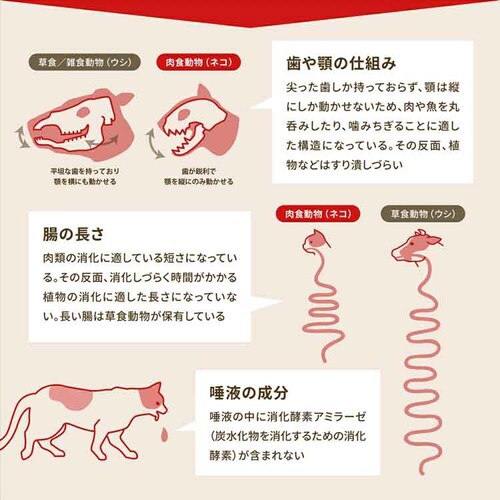 オリジン オリジン フィット&トリム ドッグ 2KG_7