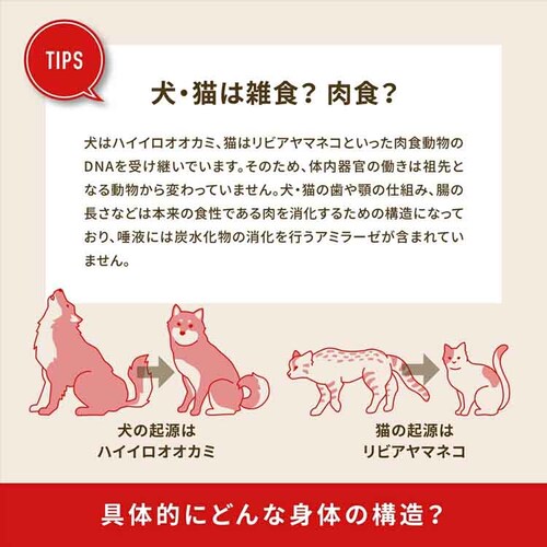 アカナ アカナ ワイルドコーストレシピ 2KG_6