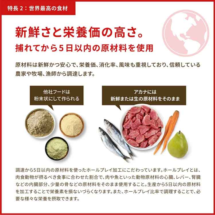 アウトレット賞味期限印字不良】アカナ ドッグフード ワイルドコースト