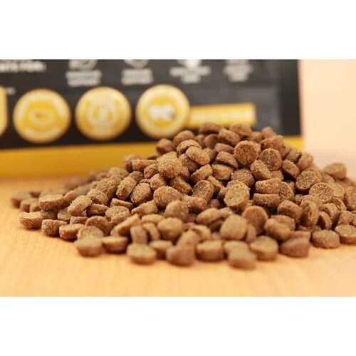 チャーム CHARM フリーランチキンキャットフード 1.5kg 7344964