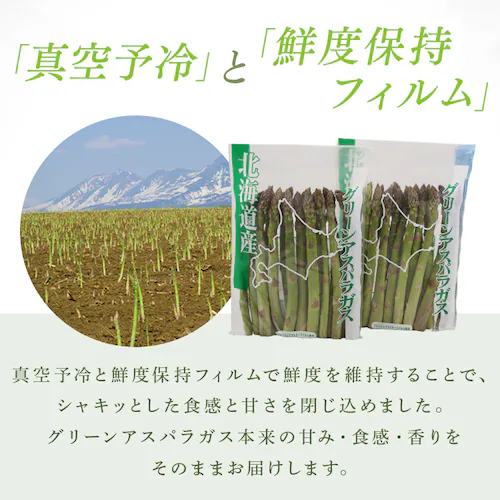 �y15��OFF�N�[�|���I�z�k�C���Y�O���[���A�X�p���K�X1kg �i500���~2�j �y���Ԏw��s�z�y����s�z�y�����s�z_3