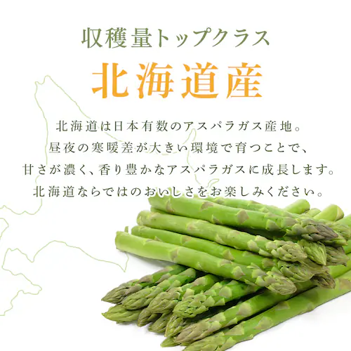 �y15��OFF�N�[�|���I�z�k�C���Y�O���[���A�X�p���K�X1kg �i500���~2�j �y���Ԏw��s�z�y����s�z�y�����s�z_4