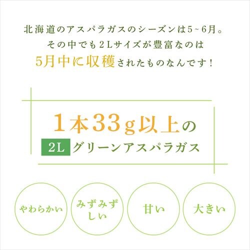 �k�C���Y�O���[���A�X�p���K�X1kg �i500���~2�j �y���Ԏw��s�z�y����s�z�y�����s�z_2