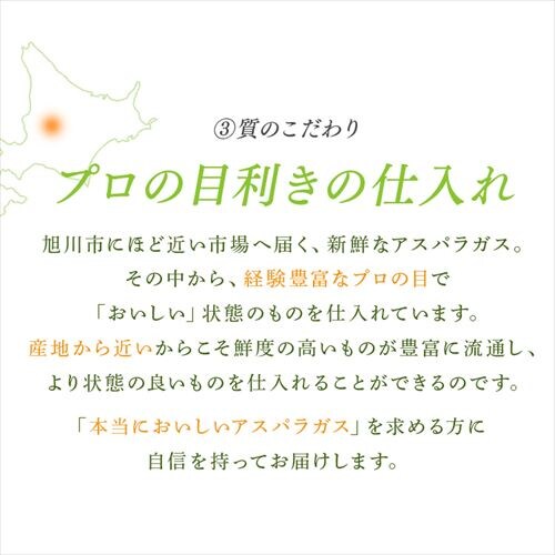 �k�C���Y�O���[���A�X�p���K�X1kg �i500���~2�j �y���Ԏw��s�z�y����s�z�y�����s�z_6