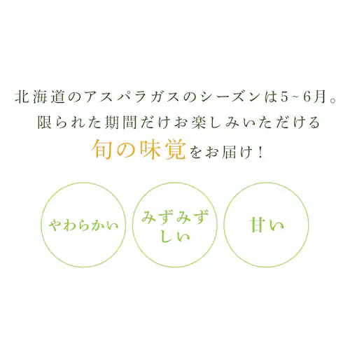 ���l�Y�O���[���A�X�p���K�X1kg �i500���~2�j �y���Ԏw��s�z�y����s�z�y�����s�z_2