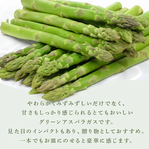 ���l�Y�O���[���A�X�p���K�X1kg �i500���~2�j �y���Ԏw��s�z�y����s�z�y�����s�z_3