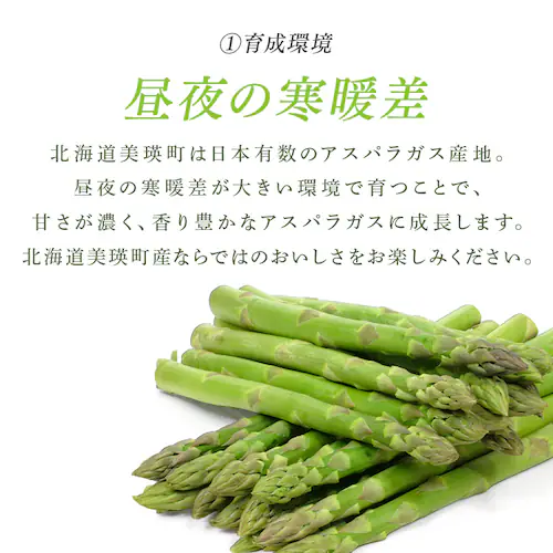 ���l�Y�O���[���A�X�p���K�X1kg �i500���~2�j �y���Ԏw��s�z�y����s�z�y�����s�z_4