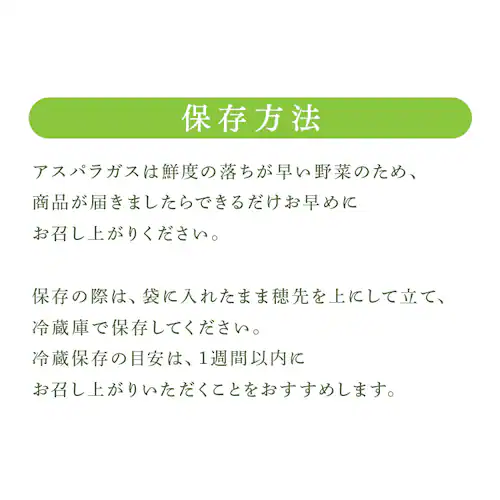 ���l�Y�O���[���A�X�p���K�X1kg �i500���~2�j �y���Ԏw��s�z�y����s�z�y�����s�z_8