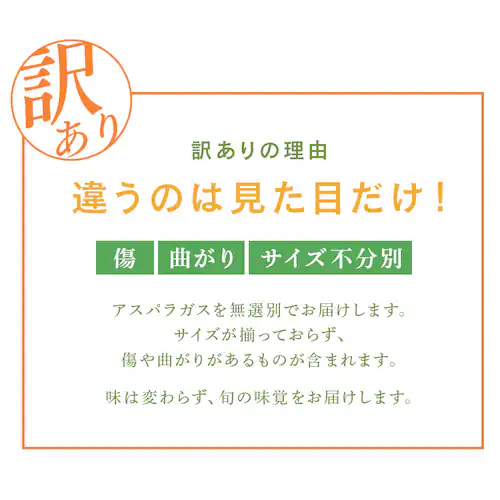 �y�󂠂�z�k�C���Y�O���[���A�X�p���K�X800g �i400���~2�j �y���Ԏw��s�z�y����s�z�y�����s�z_2