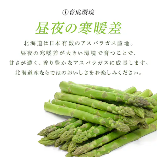 �y�󂠂�z�k�C���Y�O���[���A�X�p���K�X800g �i400���~2�j �y���Ԏw��s�z�y����s�z�y�����s�z_4