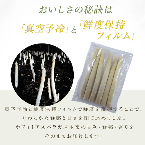 【15%OFFクーポン!】下川産ホワイトアスパラガス500g 【時間指定不可】【代引不可】【同梱不可】_4