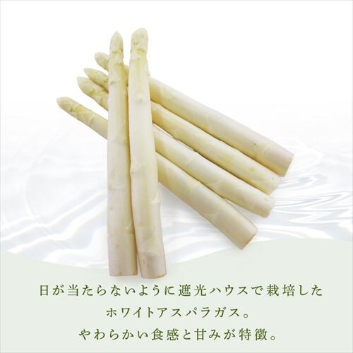 ����Y�z���C�g�A�X�p���K�X1kg �i500���~2�j �y���Ԏw��s�z�y����s�z�y�����s�z_3