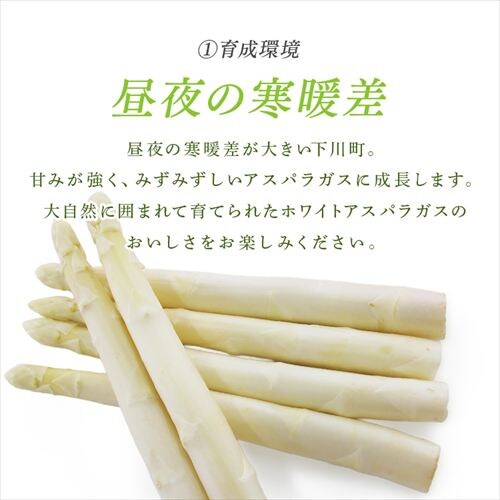 ����Y�z���C�g�A�X�p���K�X1kg �i500���~2�j �y���Ԏw��s�z�y����s�z�y�����s�z_4