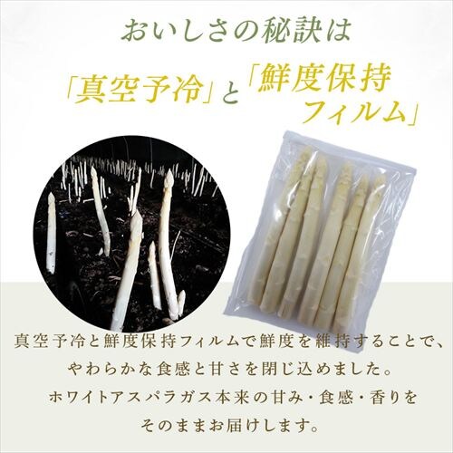 ����Y�z���C�g�A�X�p���K�X1kg �i500���~2�j �y���Ԏw��s�z�y����s�z�y�����s�z_8