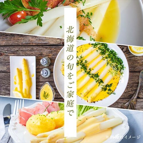 ����Y�z���C�g�A�X�p���K�X1kg �i500���~2�j �y���Ԏw��s�z�y����s�z�y�����s�z_13