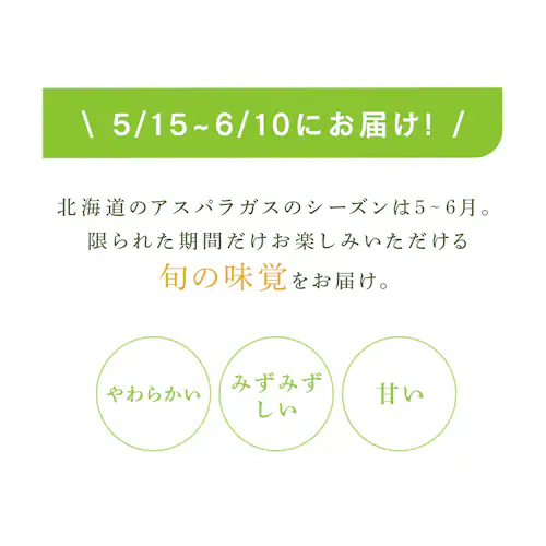 �k�C���Y�O���[���A�X�p���K�X500���A�����x�[�R���X���C�X80���~2�i�k�C���Y�ؓ��g�p�j �y���Ԏw��s�z�y����s�z�y�����s�z_14