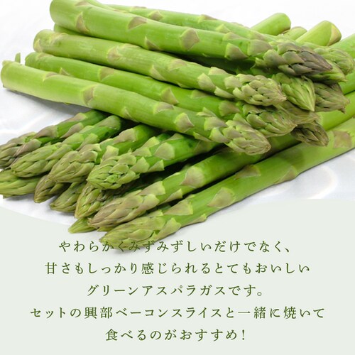 �k�C���Y�O���[���A�X�p���K�X500���A�����x�[�R���X���C�X80���~2�i�k�C���Y�ؓ��g�p�j �y���Ԏw��s�z�y����s�z�y�����s�z_15
