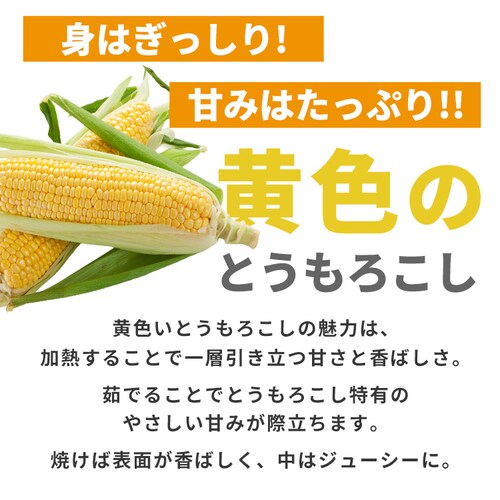 �k�C���Y���F�Ƃ����낱��8�{_2