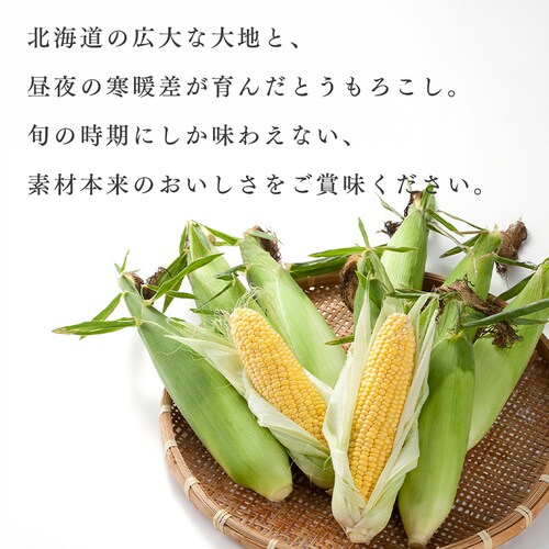 �k�C���Y���F�Ƃ����낱��8�{_4