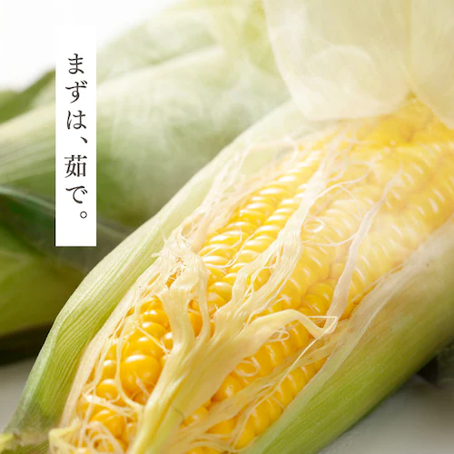 �k�C���Y���F�Ƃ����낱��8�{_8