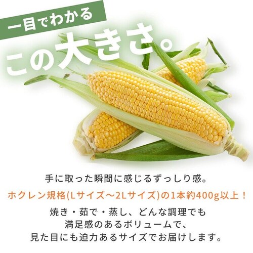 �y8�{�z�k�C���Y ���F�Ƃ����낱��_5