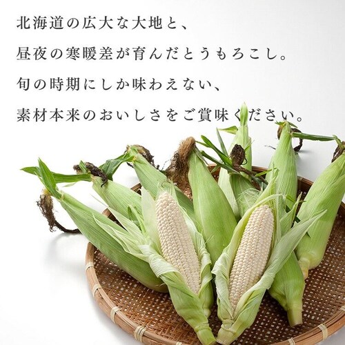 �y8�{�z�k�C���Y ���F�Ƃ����낱��_15