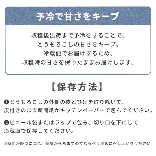 �y8�{�z�k�C���Y ���F�Ƃ����낱��_17