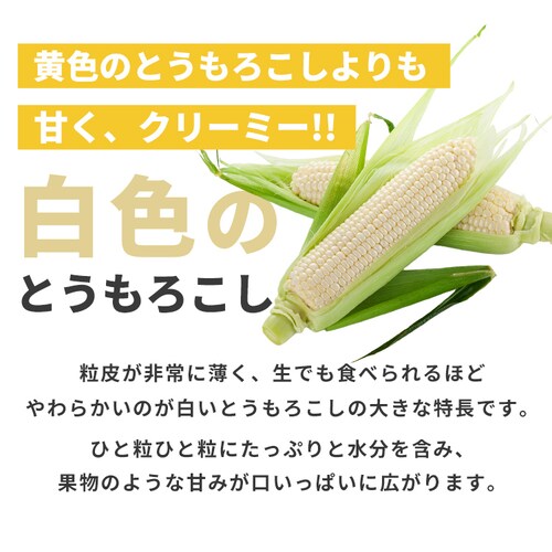 �k�C���Y�����Ƃ����낱��8�{_2