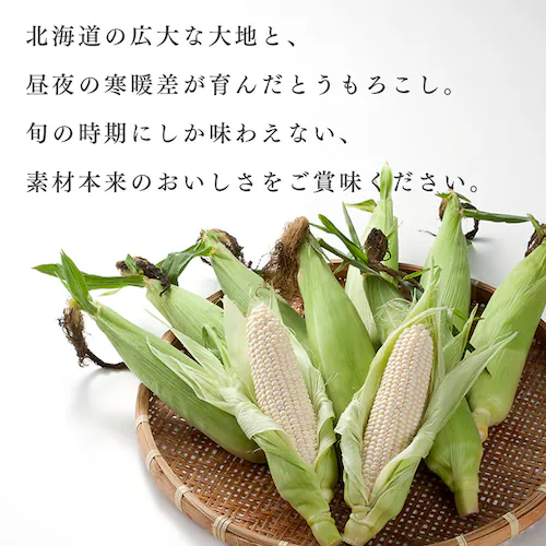 �k�C���Y�����Ƃ����낱��8�{_4