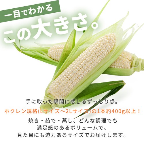 �k�C���Y�����Ƃ����낱��8�{_5