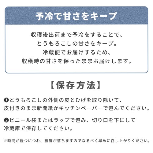 �k�C���Y�����Ƃ����낱��8�{_6
