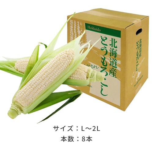 �k�C���Y�����Ƃ����낱��8�{_12