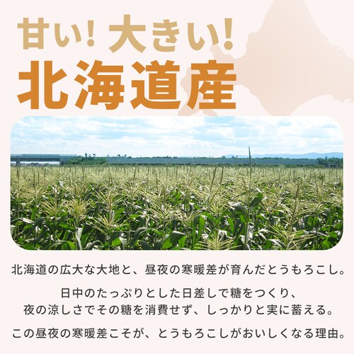 �k�C���Y���F������Ƃ����낱�� �e5�{_4