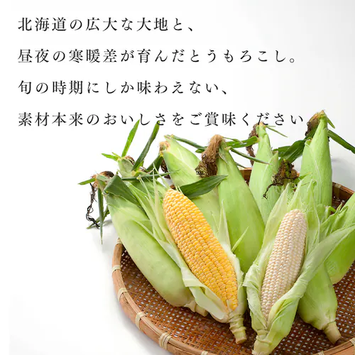 �k�C���Y���F������Ƃ����낱�� �e5�{_5
