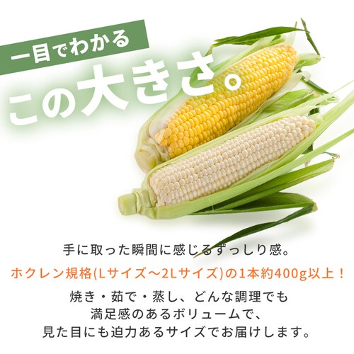 �k�C���Y���F������Ƃ����낱�� �e5�{_6