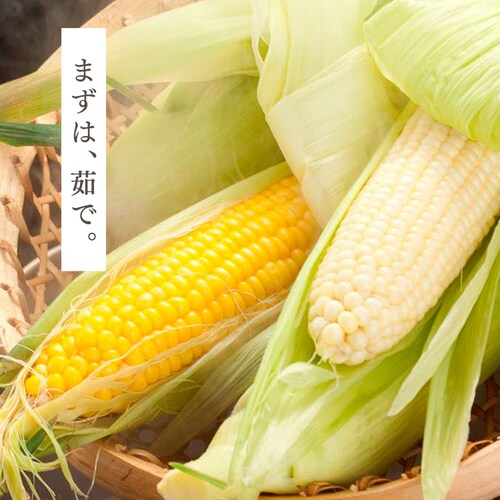 �k�C���Y���F������Ƃ����낱�� �e5�{_9