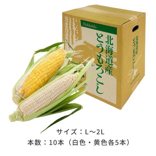 �k�C���Y���F������Ƃ����낱�� �e5�{_13