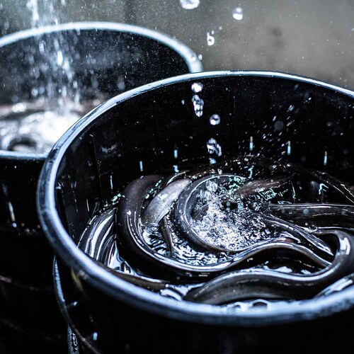 �É����Ȃ����Ƌ����g���@�É����Y���Ȃ����ĂR�� �y���Ԏw��s�z�y����s�z�y�����s�z_10