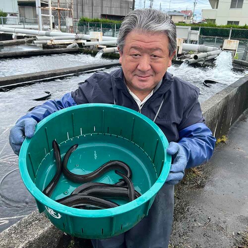 �É����Ȃ����Ƌ����g���@�É����Y���Ȃ����ĂR�� �y���Ԏw��s�z�y����s�z�y�����s�z_14