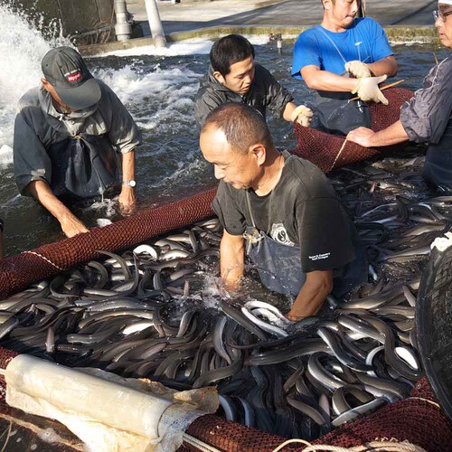 �É����Ȃ����Ƌ����g���@�É����Y���Ȃ����ā@�J�b�g�S�� �y���Ԏw��s�z�y����s�z�y�����s�z_10