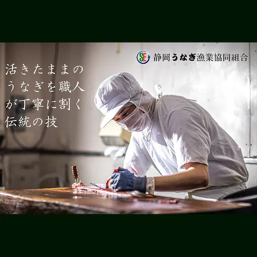 【土用の丑の日までにお届け】静岡うなぎ漁業協同組合 静岡県産うなぎ蒲焼 カット4枚 【お届けは7/20(月)〜7/24(金)】【時間指定不可】【代引不可】【同梱不可】_8
