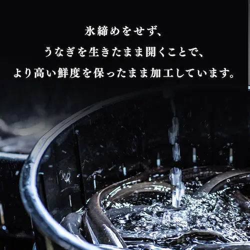 【土用の丑の日までにお届け】静岡うなぎ漁業協同組合 静岡県産うなぎ蒲焼 カット4枚 【お届けは7/20(月)〜7/24(金)】【時間指定不可】【代引不可】【同梱不可】_9