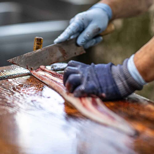 �É����Ȃ����Ƌ����g���@�É����Y���Ȃ����ā@�J�b�g�T�� �y���Ԏw��s�z�y����s�z�y�����s�z_8